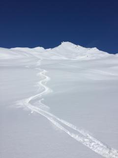 Chalet Perle des Alpes - 8