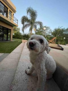 Casa premium con pileta y quincho en Gualeguaychú - 6