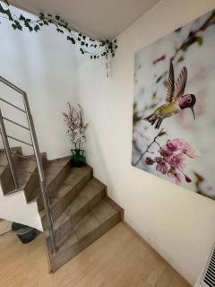 Business & Monteur Apartment - Modern Style & Comfort - Bodensee-Oberschwaben - 1