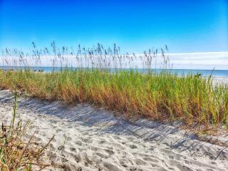 Direct 1BR Oceanfront Views at Palms Nice Pools! - 9