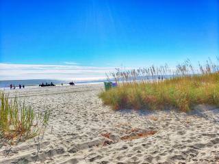 Direct 1BR Oceanfront Views at Palms Nice Pools! - 1