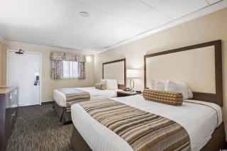 1BR New Oceanfront with Heated Pools, Coral Beach! - 4