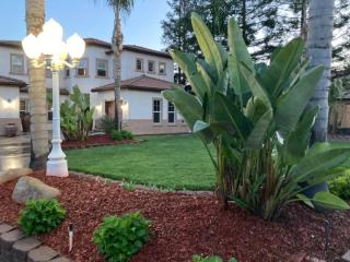 Private room--Ideal for working professionals-- - 6