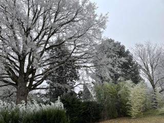 Villa Chantemerle - 2