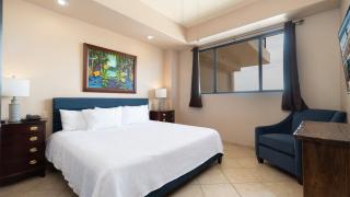 Las Palomas Resort Diamante 704 - 4