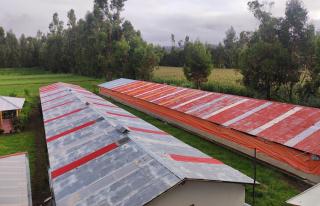 Fundo Venegas & Montoya - 6