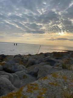 Petkumer Deichkoje - 3