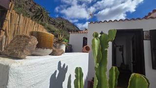 The Haven of Happiness - 0