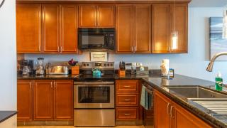 2 BR 2BA Condo @Las Palomas Opalo 504 - 1