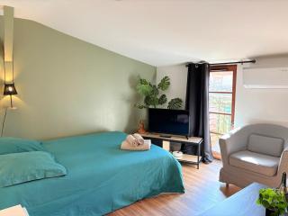 L'Écrin de Foix, vue imprenable sur le Château - 4