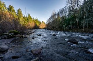 Stay Portland - Alpine Retreat Hot Tub, Fire Pit & Game Room - 6