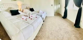 2 story large house pool jacuzzi - 1