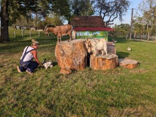 Gite les Caravottes 4 Etoiles avec Jacuzzi - JURA - 8