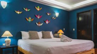 La Iguana Vallarta LGBT ADULTS ONLY - Romantic Zone - Party Clubbing Street - 3