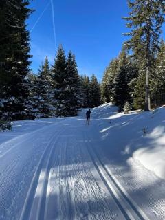 Trahütti Premium Lodges - 7