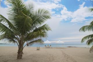 Magico Apartamento Frente al Mar 3 Habitaciones CV41 - 5