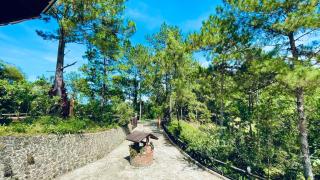 Luxury Villa Heated Pool, Firepit & Pool Table - 8