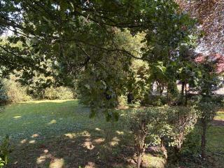 Ostfriesland-Haus - 6