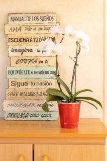 Casita Campo 15 minutos Aeropuerto Ifema y Plaza Castilla - 6