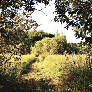 Dom nad Stawem Pokoje Gościnne - 8