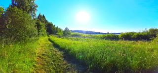 Dom nad Stawem Pokoje Gościnne - 4