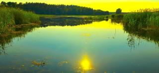 Dom nad Stawem Pokoje Gościnne - 2