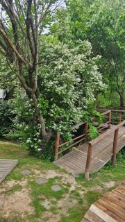 Cabañas Faro Delta - 5