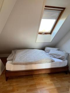 Apartment im Welfenpalais - 9