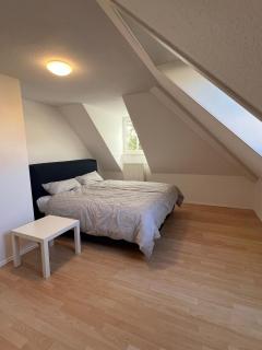 Apartment im Welfenpalais - 8