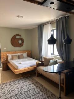 Ntinda Stylish Rustic Rooftop Studio Near Naguru - 9