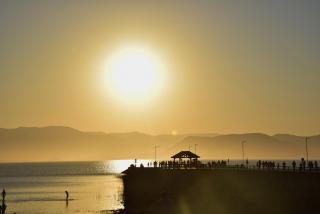 Casa Container à beira-mar! Térreo 1 - 2
