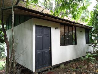 Casa la Colmena - 3