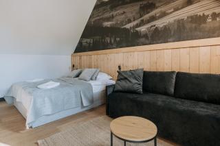 Harenda Apart Ski&Spa - luksusowe domki z sauną, jacuzzi i klimatyzacją - 3