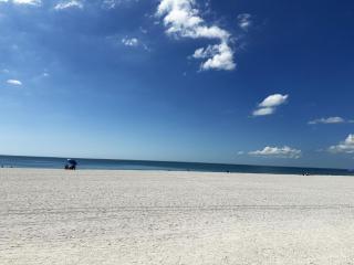 2BR - Dolphins & Bay Views Just Steps to Beach - 8