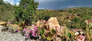 Casa Ángel - Barichara - 2