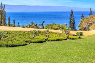 NEW KBM Resorts: Kapalua Ridge Villas KRV-2314 Sweeping Ocean GolfMountain Views wRental Car - 4