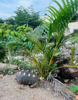 Casa Hotel Isabella - 8