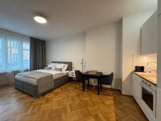 Apartmán U Smaltovny 27 - 8