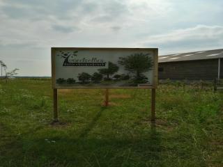 Nice Tiny Home located next to its own food forest - 1