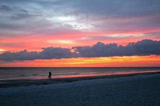 Minorga Sand Dollar on the Key - 9