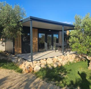 Mobile home RIA - 2