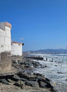 Pieza en el centro de La serena - 3