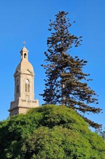 Pieza en el centro de La serena - 2