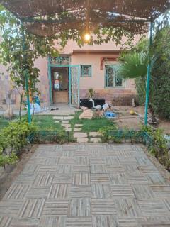 Villa hossam elkady - 3