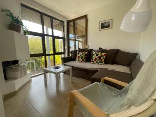 Vistas al mar, montaña y volcán - 8