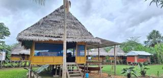 The Healer's House - 0