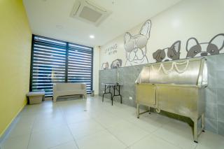 Living 73 Panamá by Boutique Apartments - 6