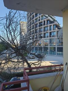 Tranquil Lakeside Tirana - 0