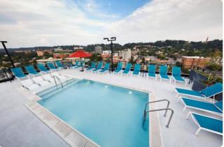 Trendy 3BR City Apt Pool and Ping Pong Fun - 8