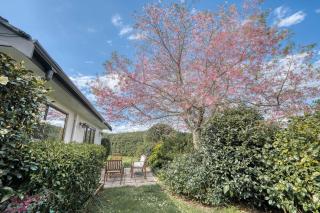 Stylish One-Tree-Hill Home - Entire House, Lucky U - 7